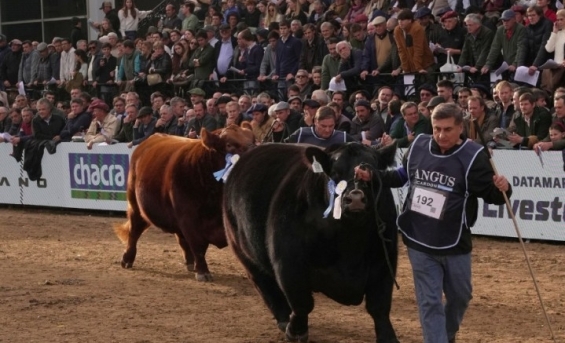 Expo Rural de Palermo: Córdoba fortaleció la promoción de su producción y sus políticas agropecuarias